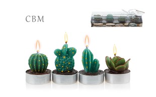 شمع تزئینی طرح کاکتوس