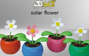 گل SolarFlower