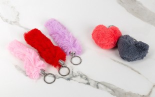 جا سوئیچی خز