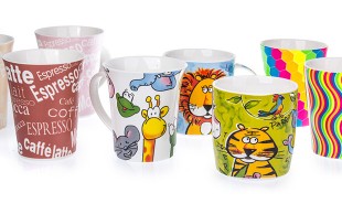 فستیوال ماگ