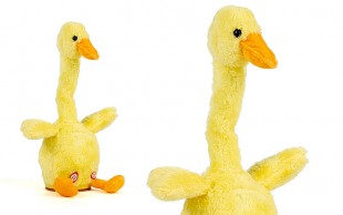 عروسک اردک موزیکال و سخنکو