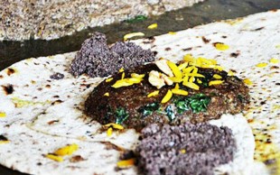 بریان سرای دادا میلاد