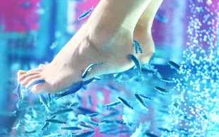 مرکز ماساژ آنجل اسپا