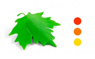 پادری طرح برگ