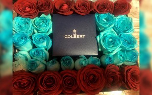 گل فروشی رز سفید