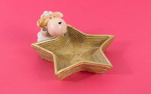 ظرف تزئینی ستاره ای