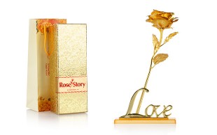گل رز طلایی Rose Story