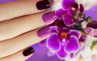 خدمات ناخن سالن زیبایی فریبا