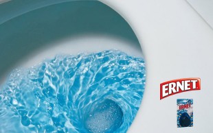 تمیز کننده توالت ERNET