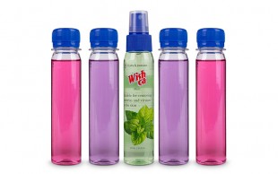 اسپری ضدعفونی کننده دست ویشکا