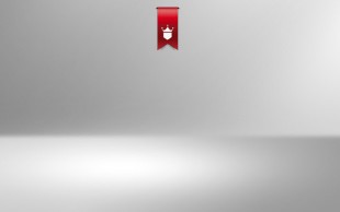 آموزش کوکی با رویال آیسینگ در سرای محله زرگنده