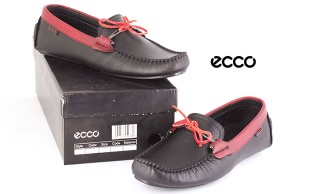 کفش کالج ecco