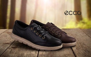 کفش اسنیکرز مردانه Timberland