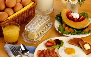 بوفه کامل صبحانه رستوران چلچله