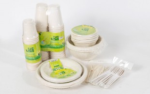 ظروف یکبار مصرف گیاهی آنی