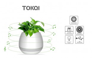 اسپیکر بلوتوثی و گلدان موزیکال Tokqi
