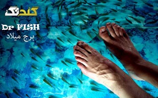 دکتر فیش برج میلاد