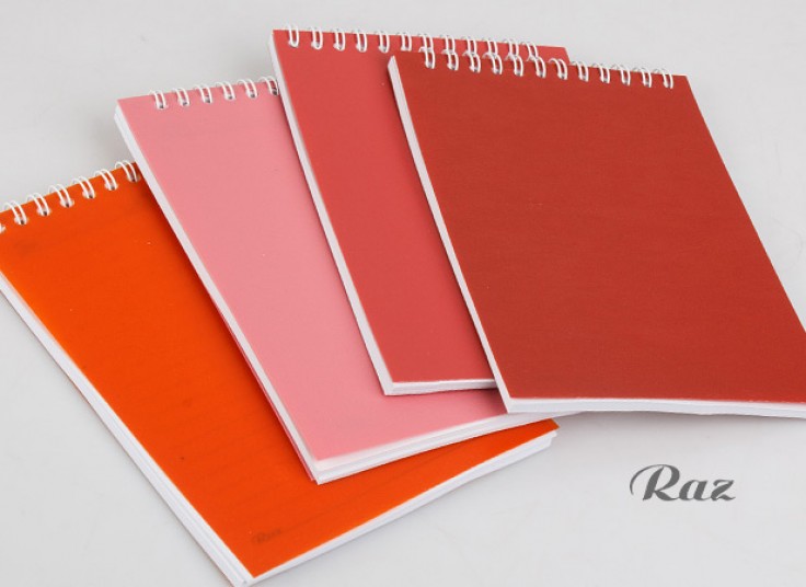 دفتر یادداشت RAZ