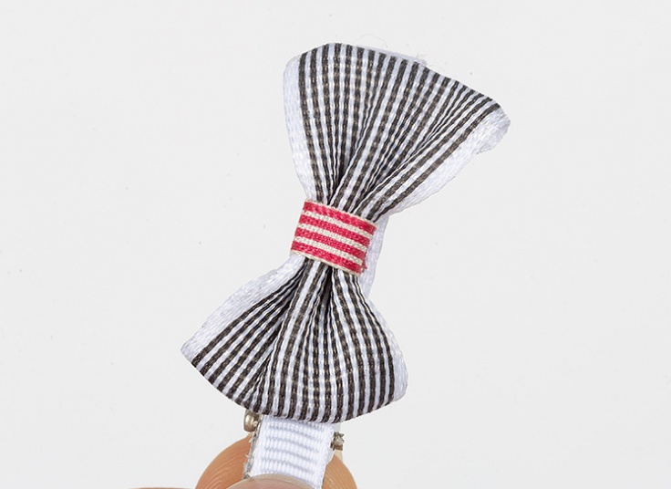 پک دو عددی گیره مو Fashion