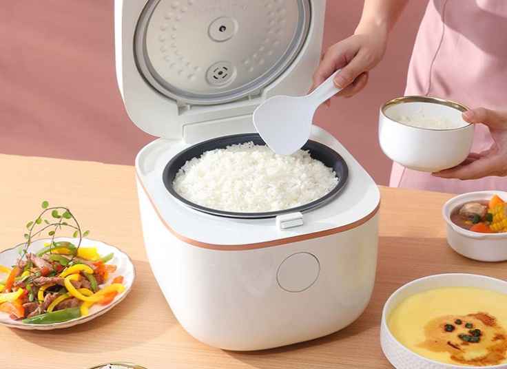 پلوپز هوشمند شیائومی مدل Viomi VXFB30C-1