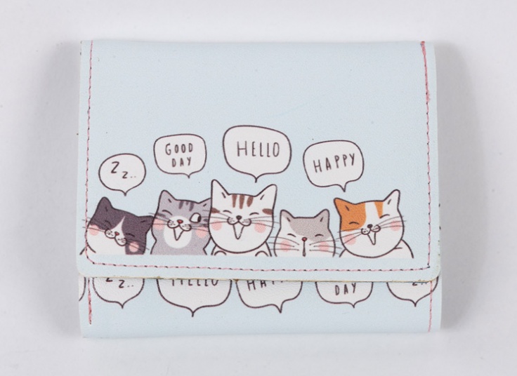 کیف پول و جاکارتی فانتزی