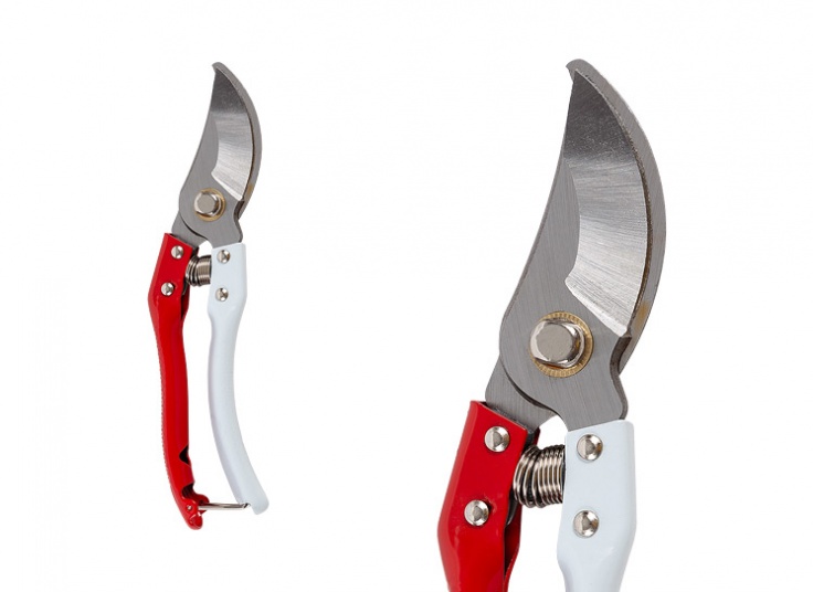 قیچی مخصوص باغبانی