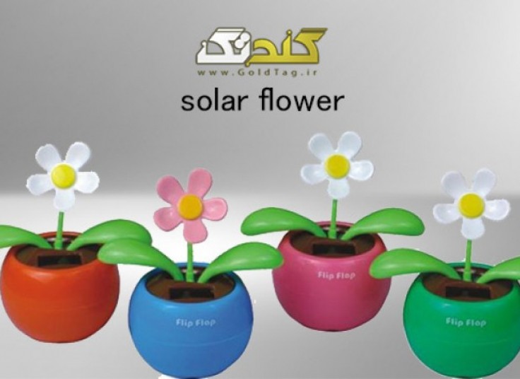 گل SolarFlower