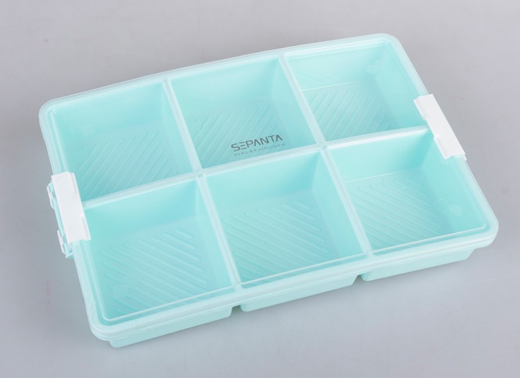 ظرف فریزری شش خانه Sepanta