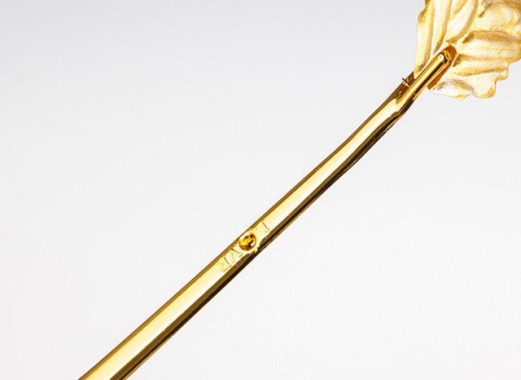 گل رز طلایی