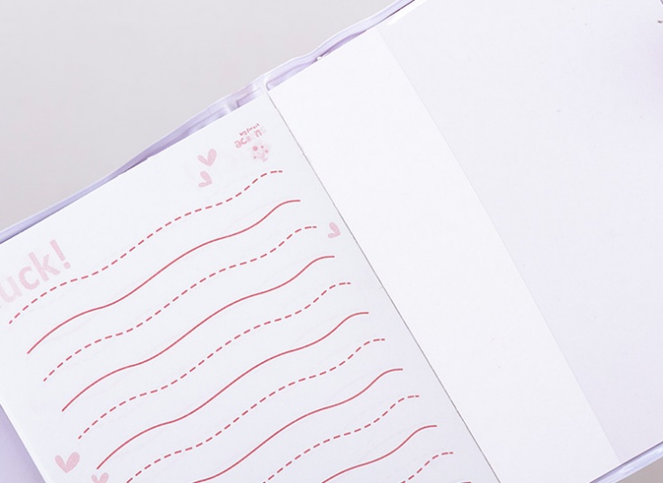 پکیج دفترچه و خودکار فانتزی