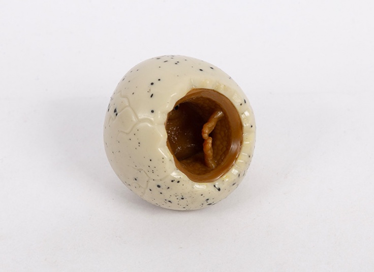 فیجت دایناسور بازیگوش