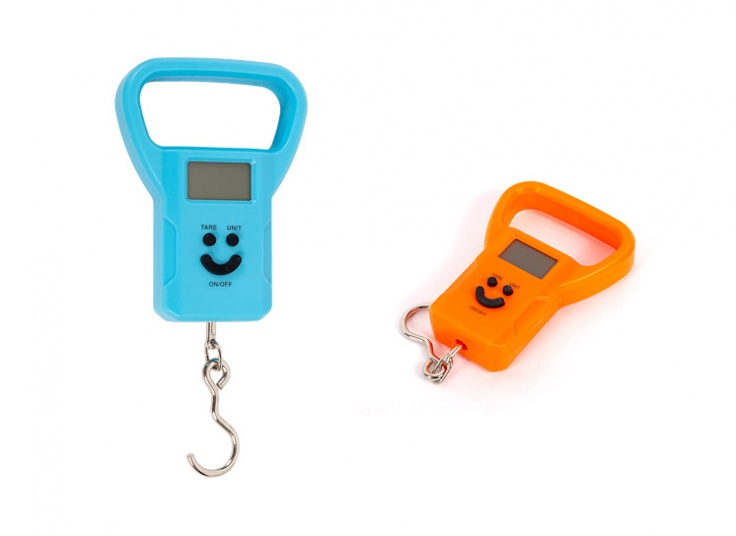 ترازوی دیجیتال دستی Electronic Pprtable Scale