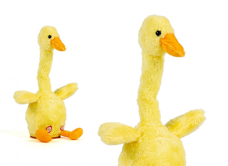 عروسک اردک موزیکال و سخنکو