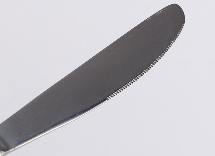 کارد سرو کیک استیل