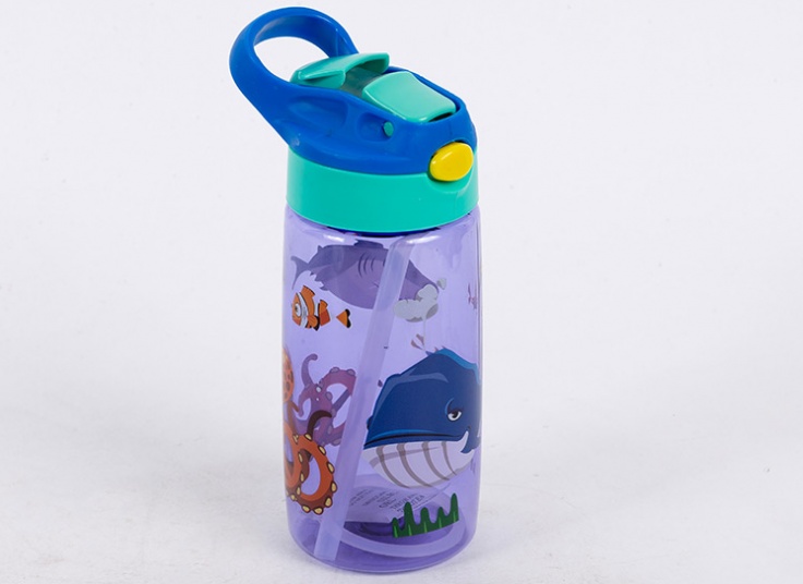 قمقمه نی‌ دار بچگانه My Home