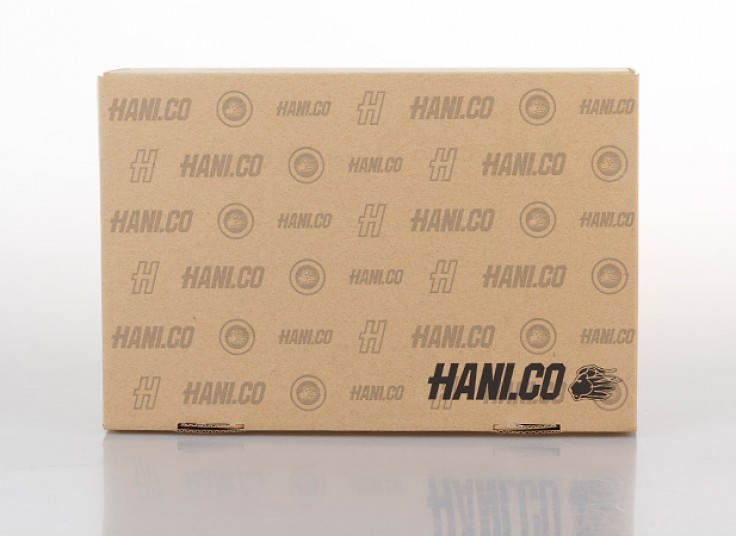 کفش راحتی مردانه Hani Co