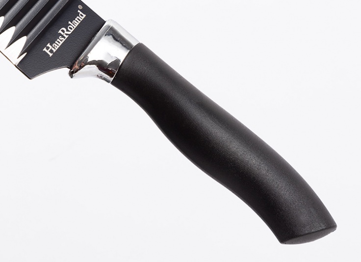 ست چاقو 6 پارچه Haus Roland