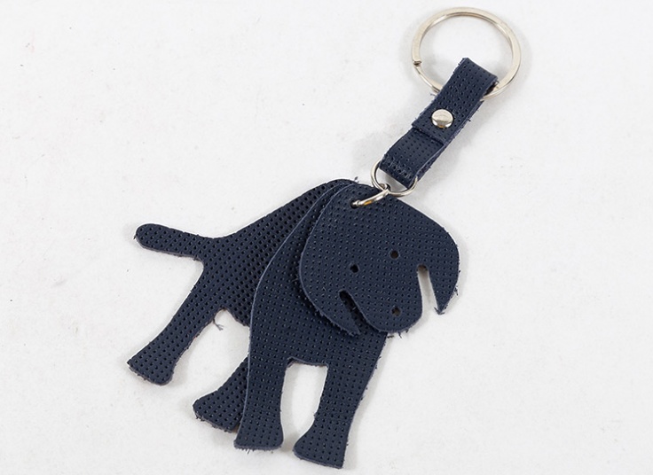 جاسوئیچی چرم