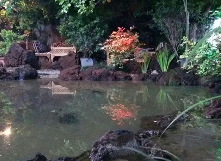 جوجه شکاری رستوران برکه