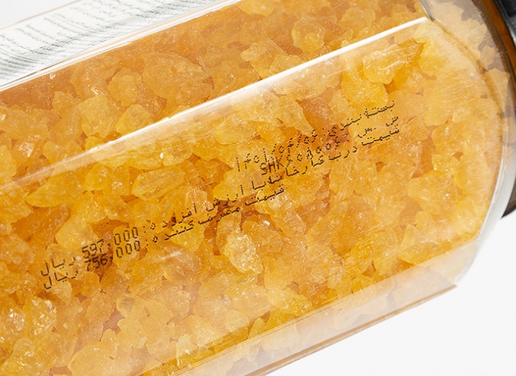 نبات خردشده سحرخیز