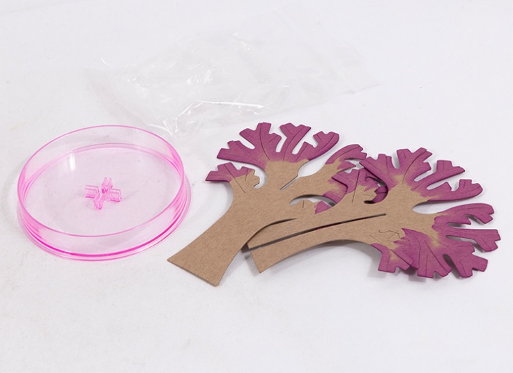 درخت جادویی SAKURA