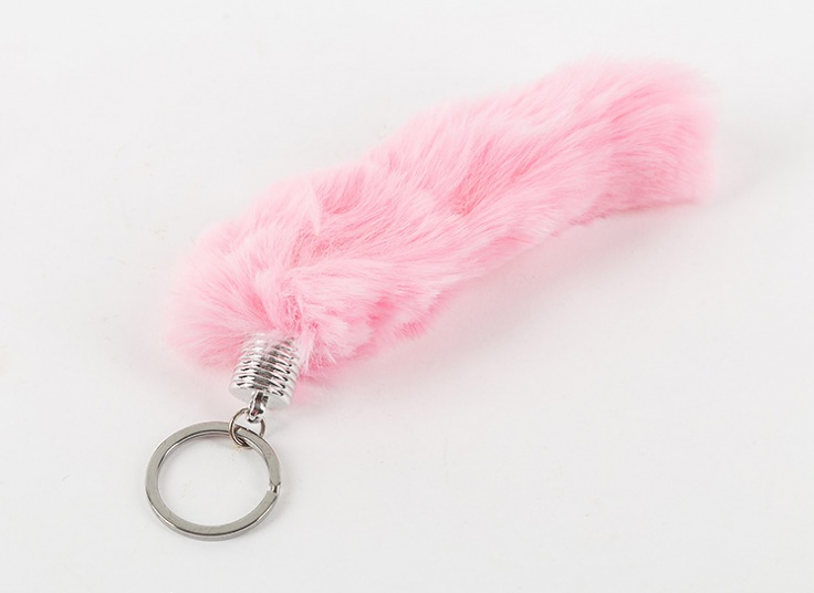 جا سوئیچی خز