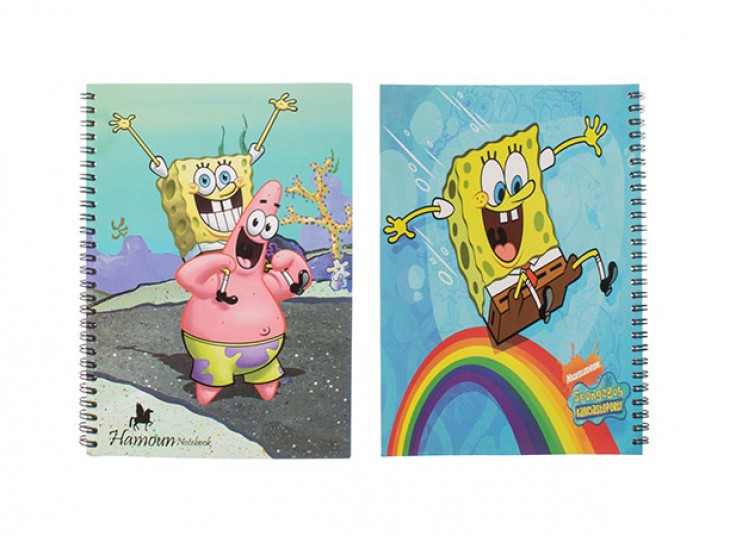 دفتر سیمی Hamoun