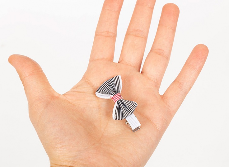 پک دو عددی گیره مو Fashion