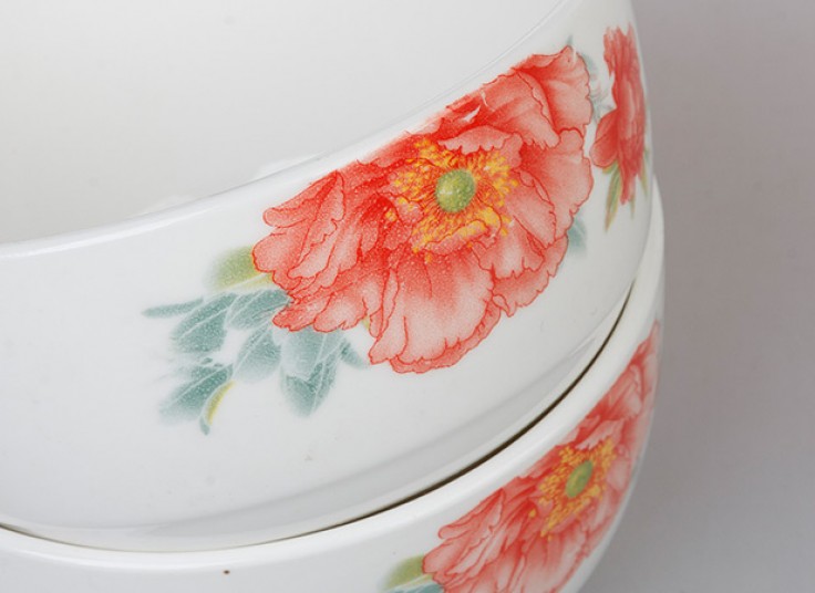 پکیج 6 عددی کاسه سوپ خوری SERIES OF WARM