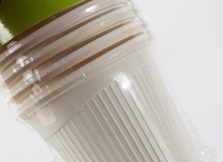 ظروف یکبار مصرف گیاهی آنی