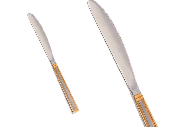 کارد سرو کیک استیل