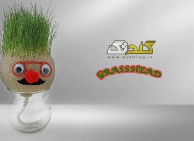 سبزه عید آدمکی GrassHead