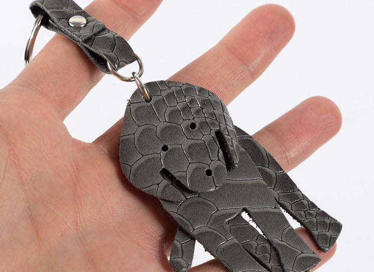 جاسوئیچی چرم