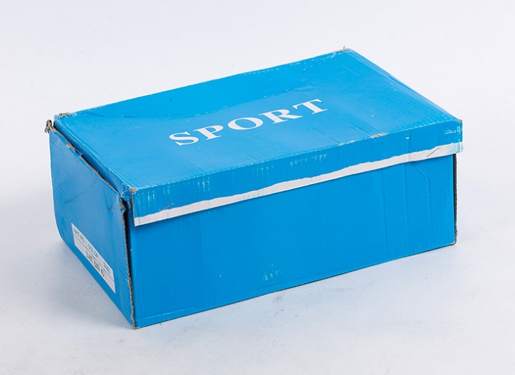 کتانی مردانه SPORT کد838TT